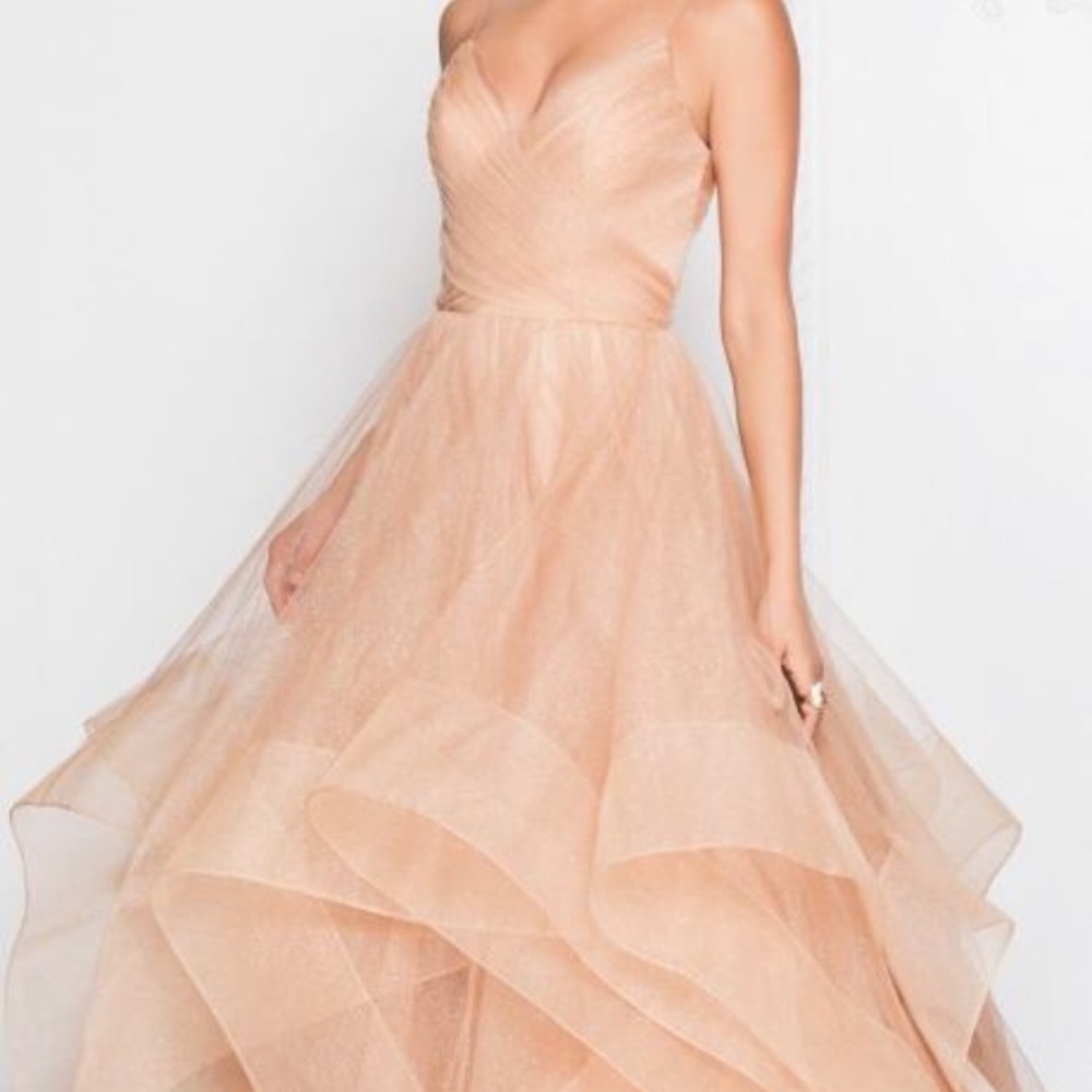 Terani Couture Prom Dress/Gown - Size 14